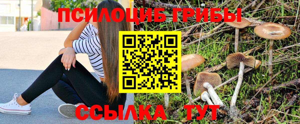 Кстово  Псилоцибиновые грибы Magic Shrooms  Вход с VPN 