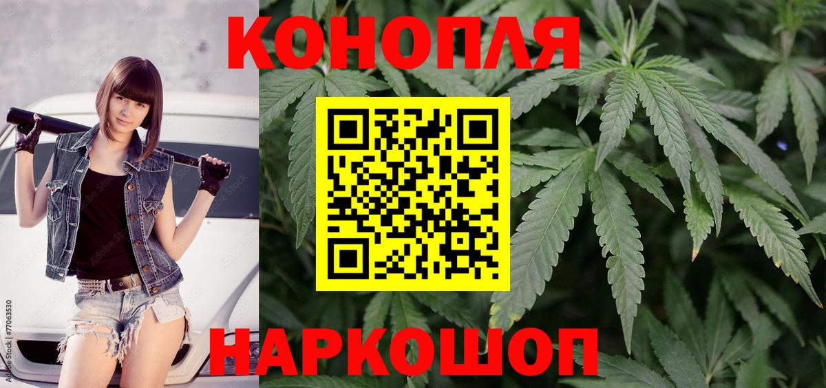 Бошки Шишки планчик Кстово